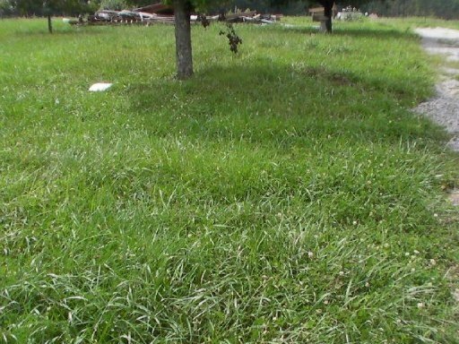 190 Pomona Ct, Crossville, TN 38571 - photo 1