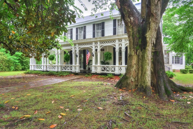 Main View