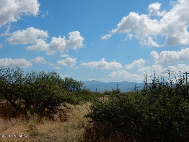 DSCN0767