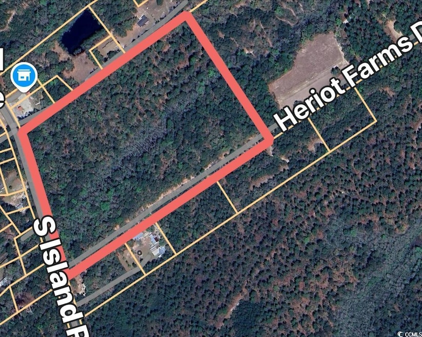 Parcel G S Island Rd, Georgetown, SC 29440 - photo 1