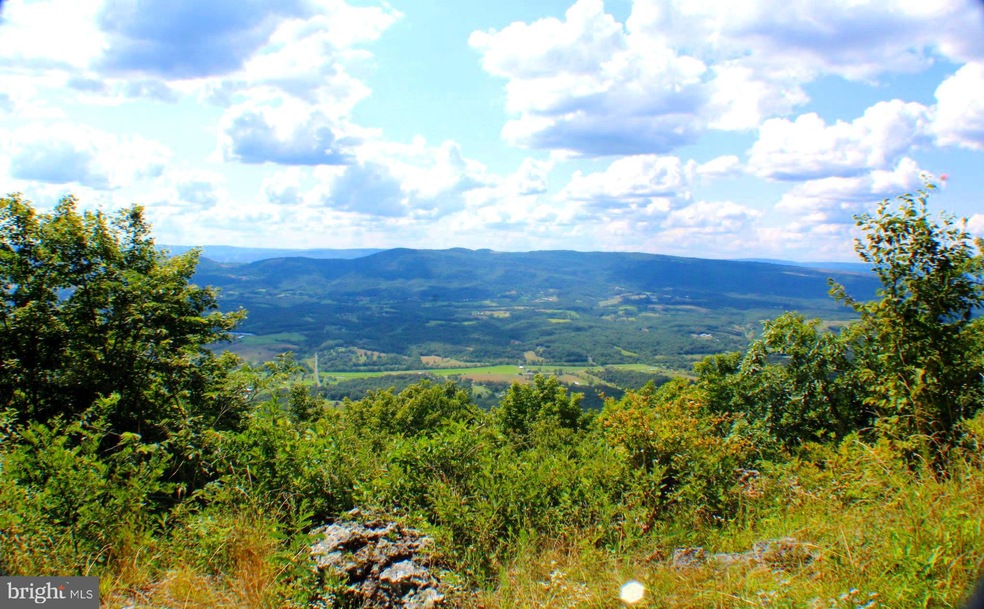 Lot 8 Sec 2 High Knob Rd, Old Fields, WV 26845 - photo 1