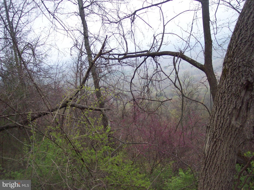 0 Hill Rd unit 1003439364, Warfordsburg, PA 17267 - photo 1