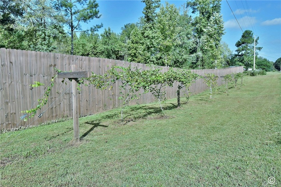 5129 Lee Road 379, Salem, AL 36874 - photo 1