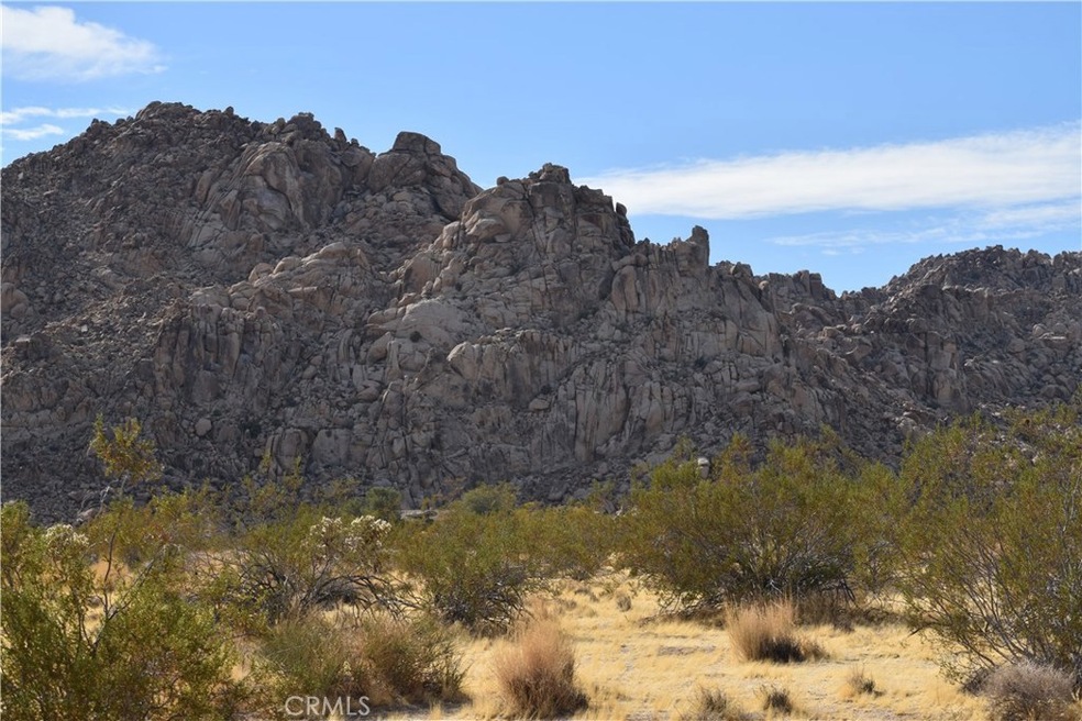 7157 Sunkist Rd, Joshua Tree, CA 92252 - photo 1