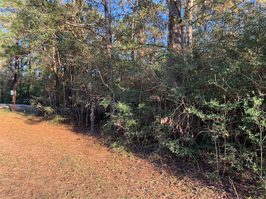 Lot 111, Block 8 Clear Creek Forest Sec 11, Magnolia, TX 77355 - photo 1