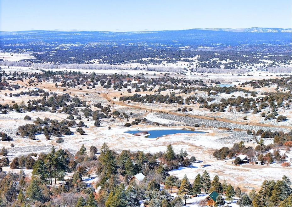 0 Private Drive 1781a, Los Ojos, NM 87551 - photo 1