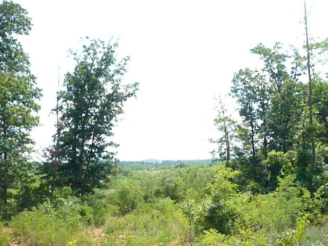 13.6 ac Glenview Dr, Callands, VA 24530 - photo 1