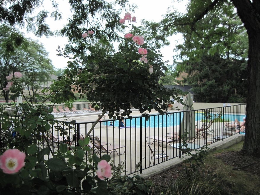 Inground pool