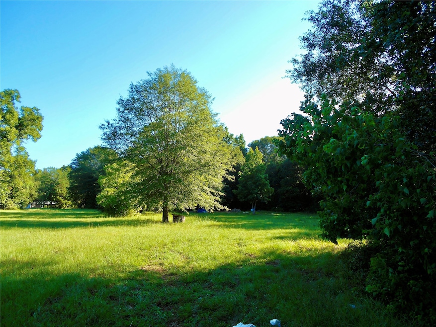 TBD Fm 943 Rd, Kountze, TX 77625 - photo 1