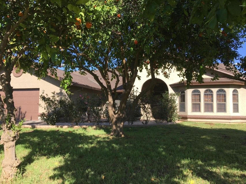 Front yard