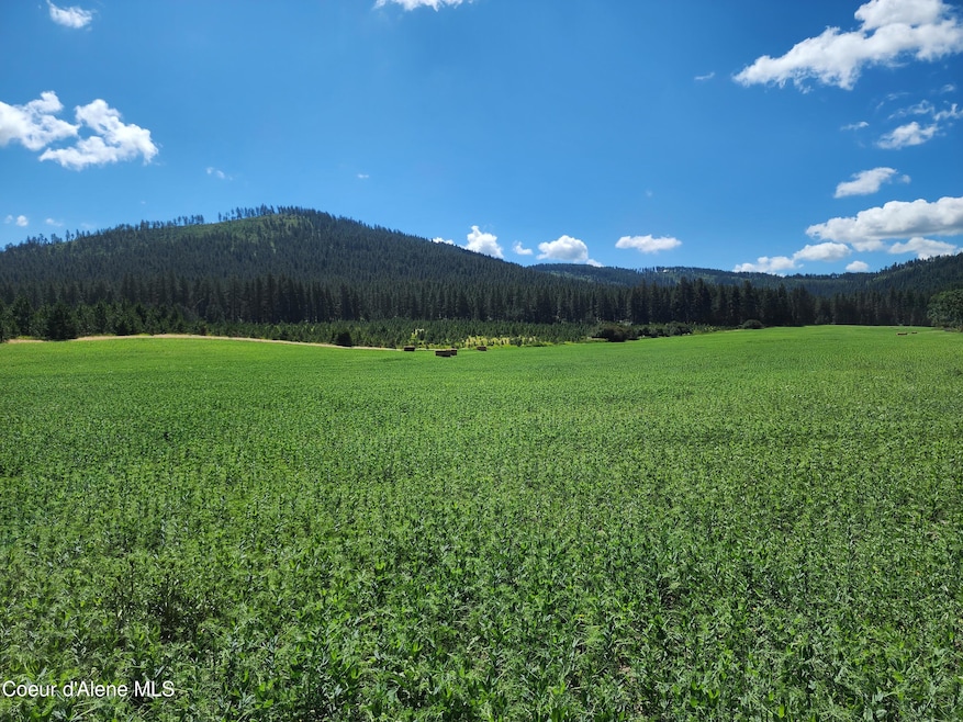 NKA Desmet, Desmet, ID 83824 - photo 1