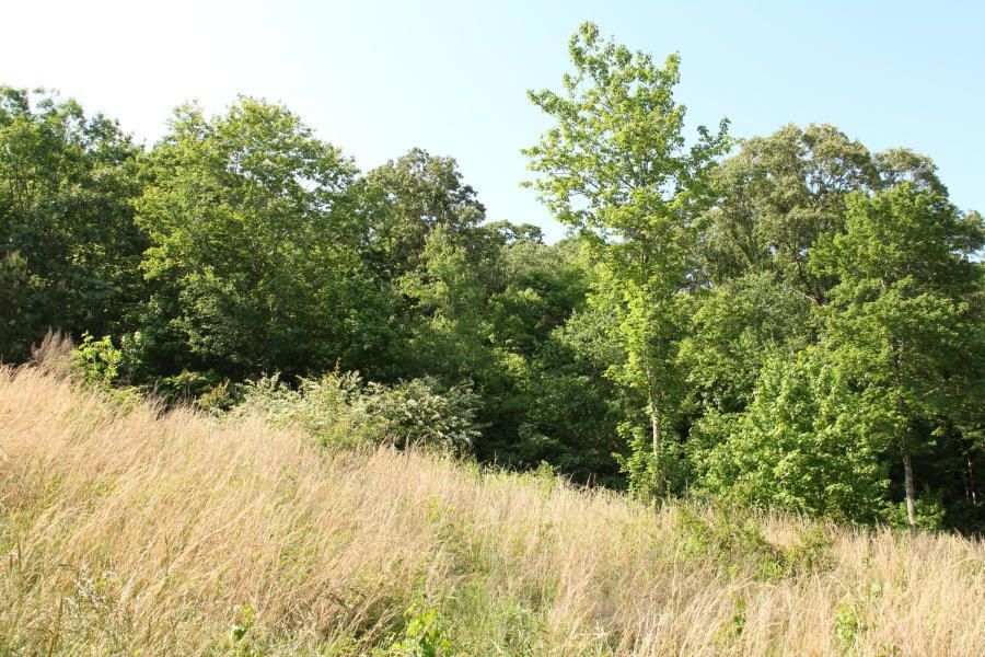 hud13