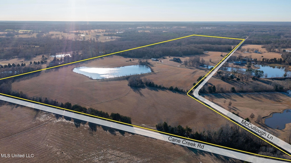 8-web-or-mls-280 McCullough-2b