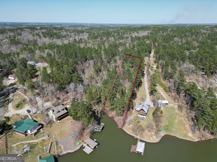 LOT 224 Hickory Pass, Sparta, GA 31087 - photo 1