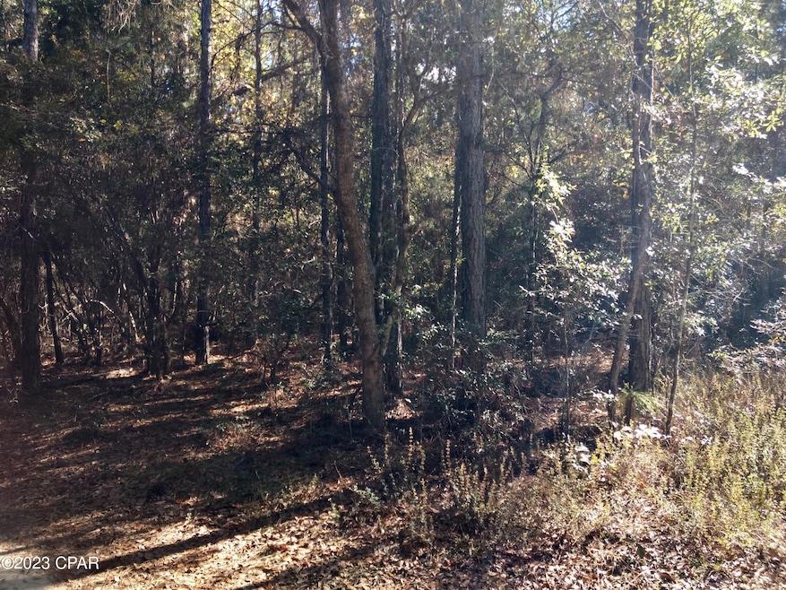 For Sale $25,000 • Co-Listing Agent