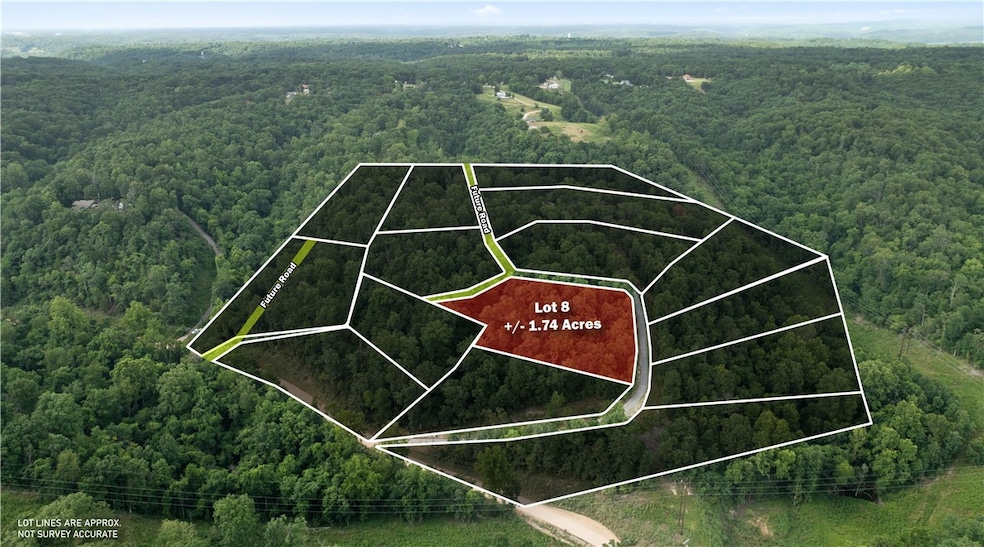 Lot 8 Esculapia Hollow Rd, Rogers, AR 72758 - photo 1