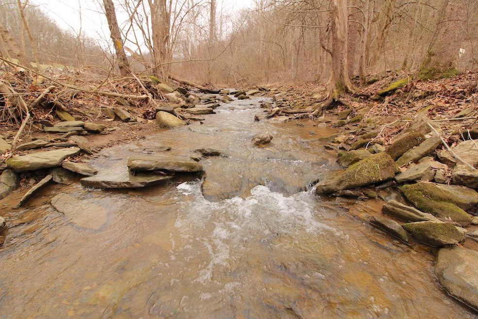 lead photo