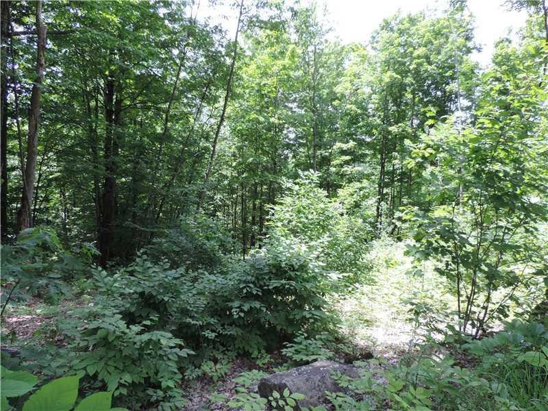 6 Sawyer Mountain Rd, Limerick, ME 04048 - photo 1