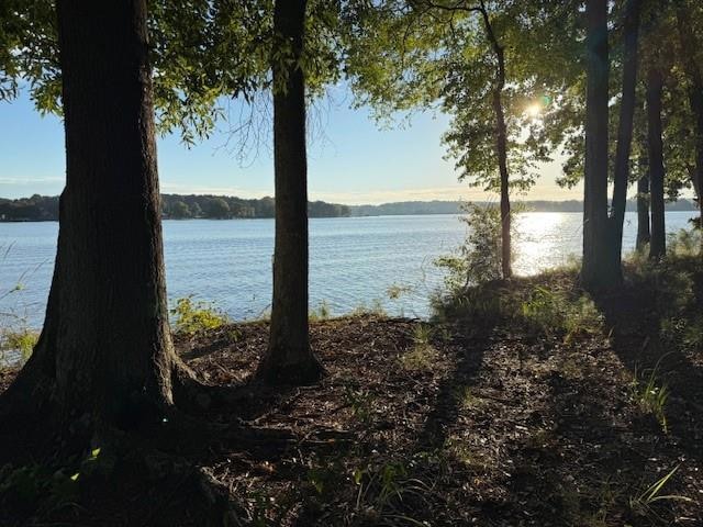 1130 Dockside Dr, Buckhead, GA 30625 - photo 1