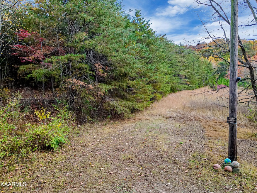 0 White Ln, Knoxville, TN 37920 - photo 1