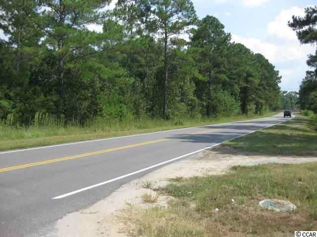 TBD Hemingway Chapel Rd, Conway, SC 29526 - photo 1