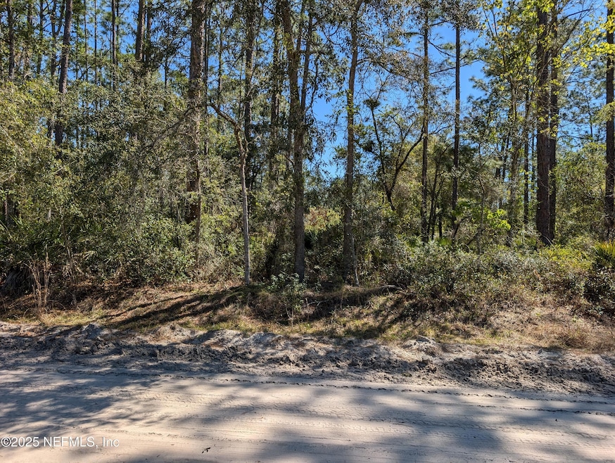 LOT 35 DINES AVE