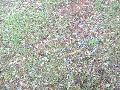 470 Rock Cliff Rd, Emmaus, PA 18049 - photo 1