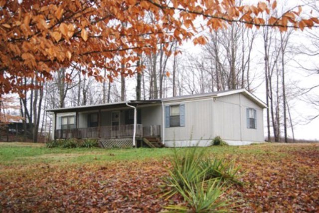 Main View