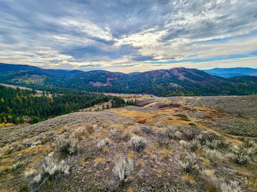 N Lambert Ln, Republic, WA 99166 - photo 1