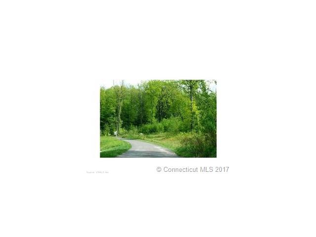 60 Charolais Way, Burlington, CT 06013 - photo 1