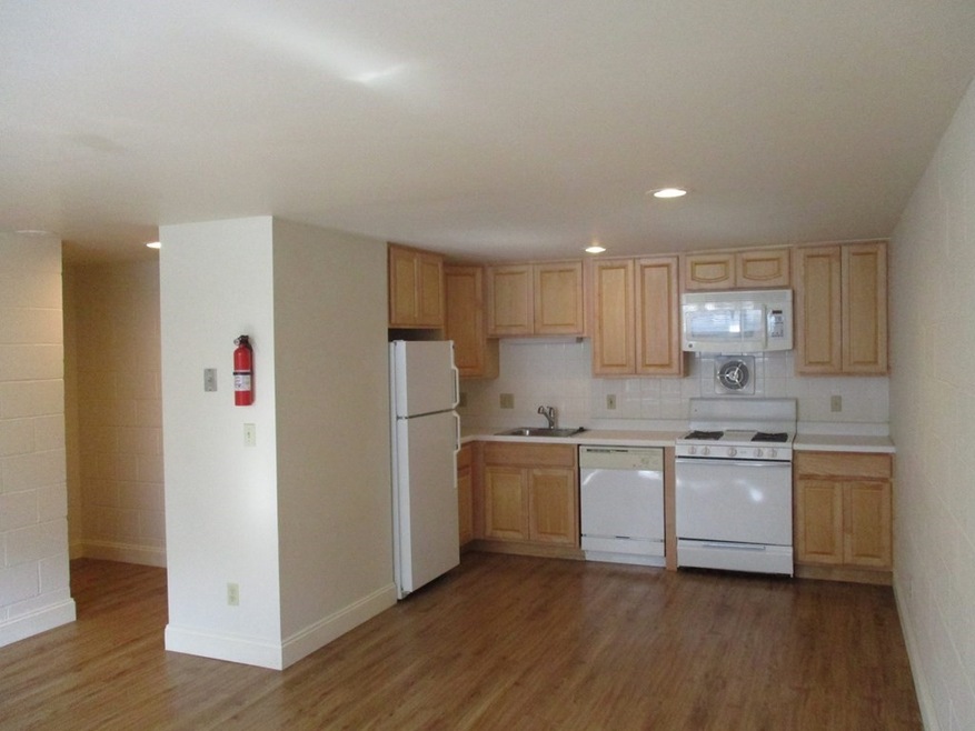 117 W Concord St unit Four, Boston, MA 02118 - photo 1