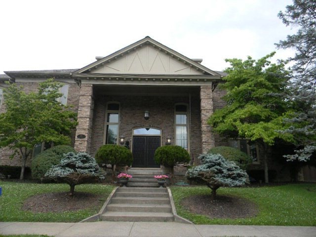 Main View