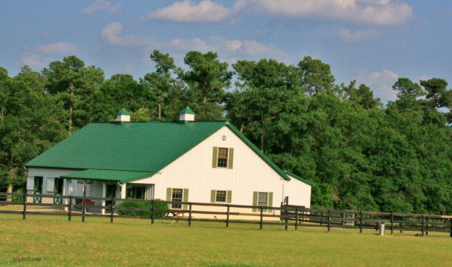 Main View