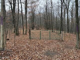 341 Duvall Cemetery Rd, Broad Top Township, PA 16679 - photo 1