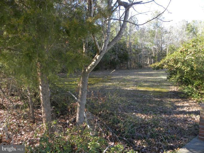 0 Azalea Ave unit 1003432134, Colonial Beach, VA 22443 - photo 1