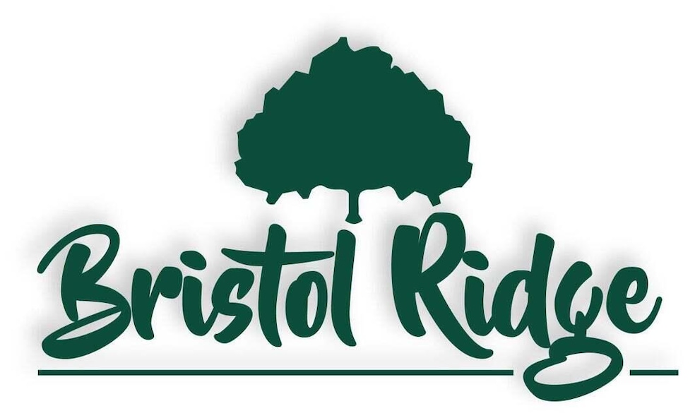 LOT 228 Easley Cabin Cir, Columbia, MO 65201 - photo 1