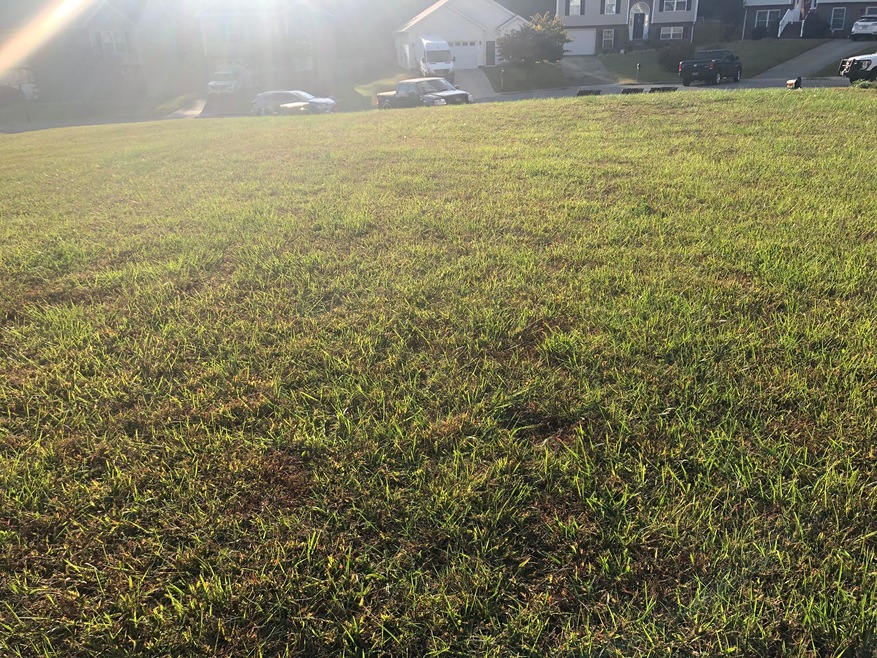 2615 Stewart View Terrace, Vinton, VA 24