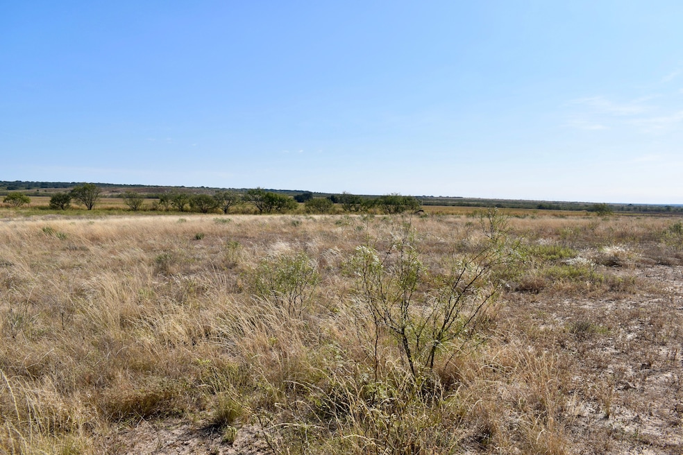 85 Private Road 527, Brady, TX 76825 - photo 1
