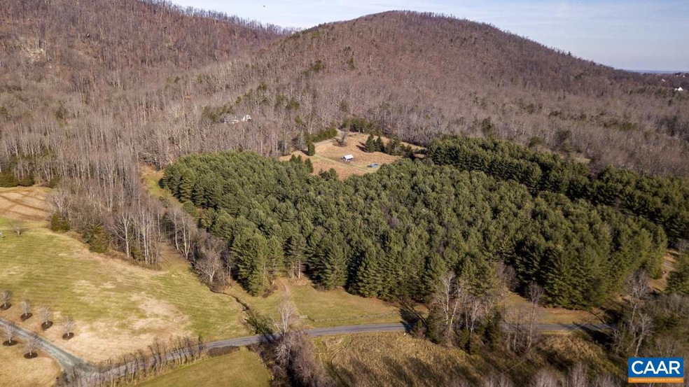 1648 Dudley Mountain Rd, University, VA 22903 - photo 1