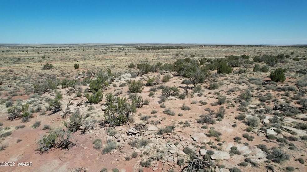 DJI_0037