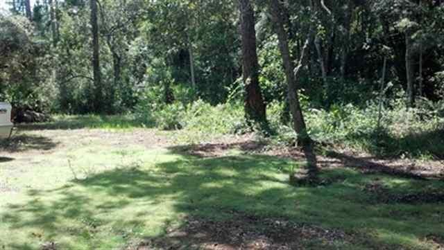 W Royal Oak Dr, Perry, FL 32347 - photo 1