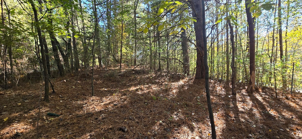 27 Foster, Lafayette, GA 30728 - photo 1