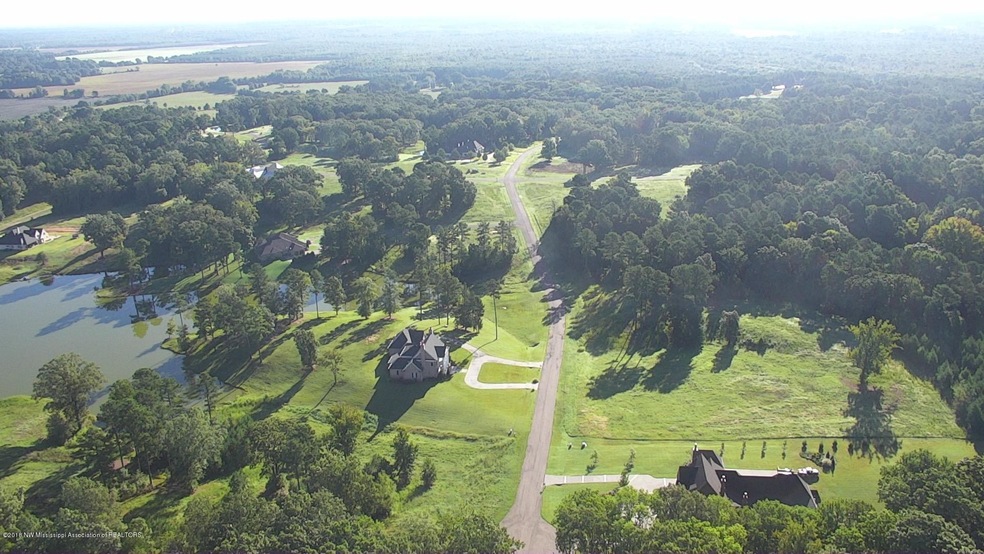 Gray's Creek Cyrene
