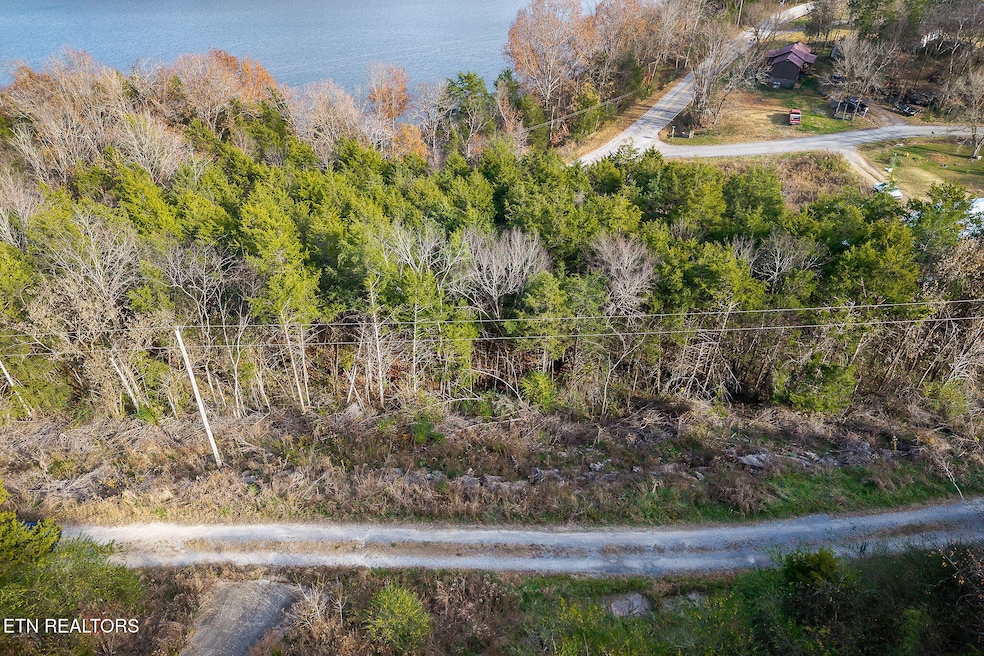 0 Martins Creek Hwy, Granville, TN 38564 - photo 1