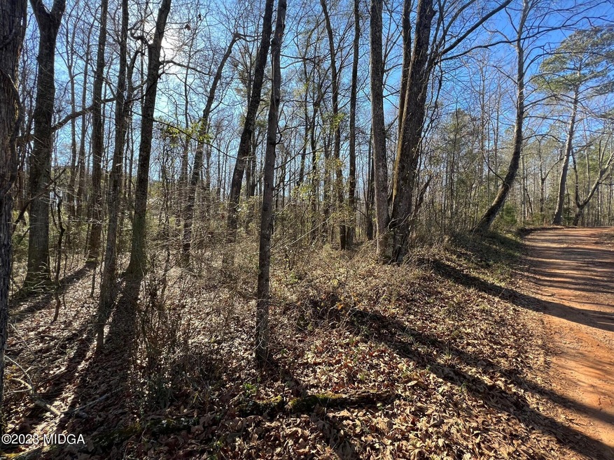 0 N Delray Rd unit 168762, Thomaston, GA 30286 - photo 1