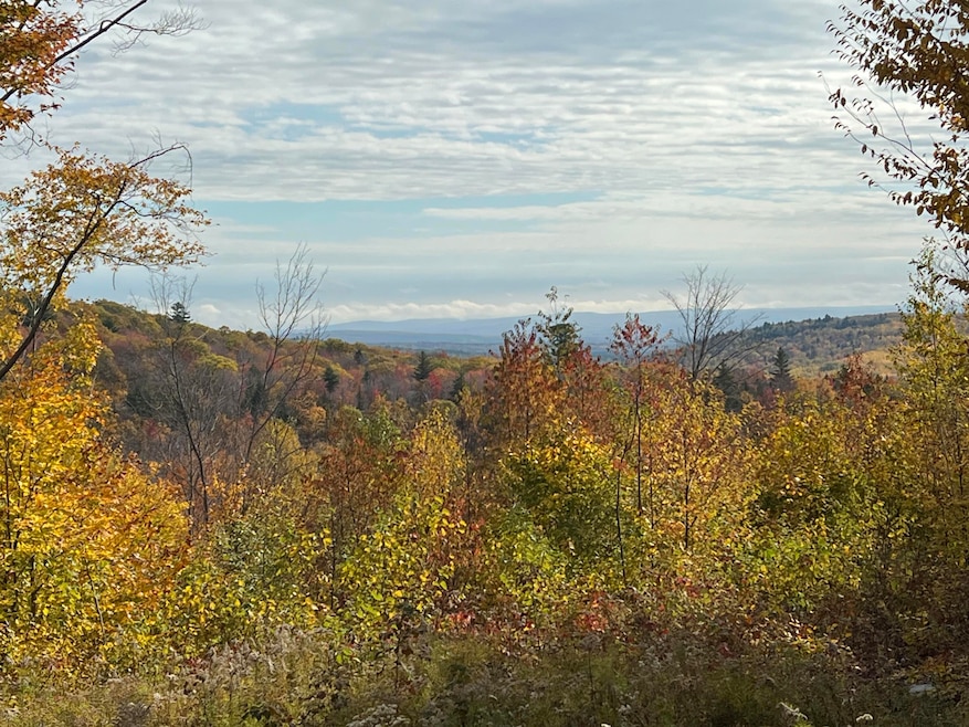 2E Mountain View Dr, Temple, ME 04984 - photo 1