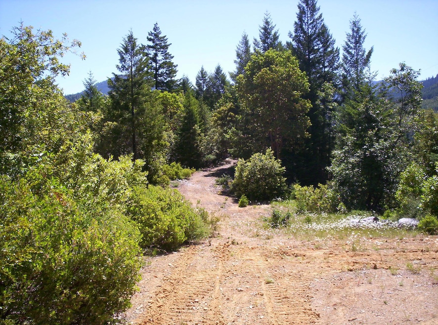 French Peak 039
