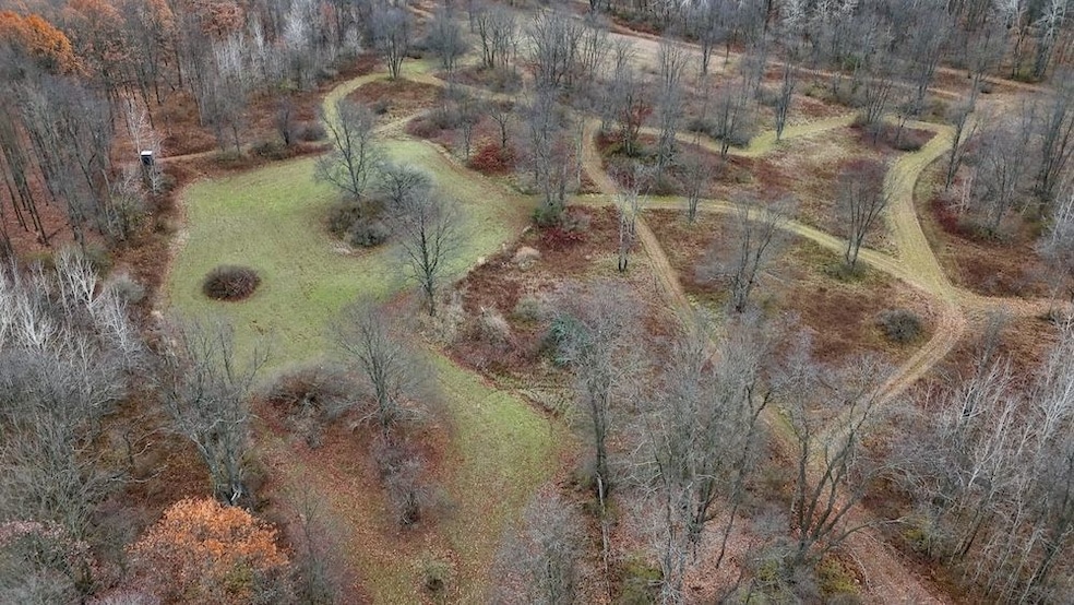 V L Hatton Rd, Farwell, MI 48622 - photo 1