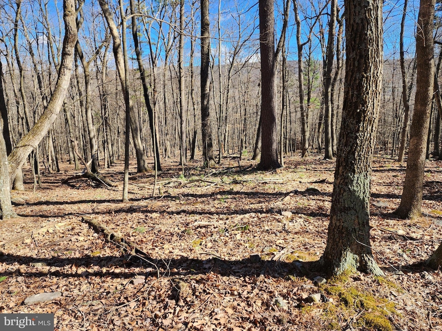LOTS 8 & 9 Howard Delawder Ln, Mathias, WV 26812 - photo 1