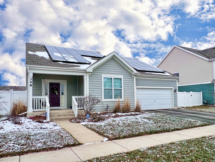 348 Snow Drop Ln, Elgin, IL 60124 - photo 1